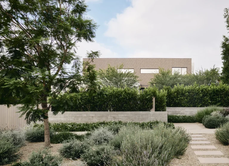 aaaqowkwbofj5mu54bms 768x556