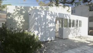 LEX 02 1200 72 DPI copy 300x172