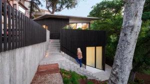 TaiyoWatanabe TFG8259 LRG EH modBootsy brighter warmer bluesky 300x169